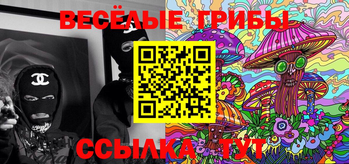 Галлюциногенные грибы прущие грибы  Вход с VPN  Новоуральск  Галлюциногенные грибы Psilocybine cubensis 